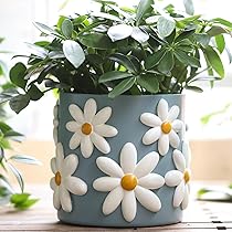 AIMEBBY Hars hoofd gezicht plantenbak bloempot voor binnen en buiten planten met drainagegat (groot formaat