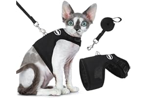 Bingpet Katzengeschirr und -leine, ausbruchsicher, einstellbarer, weicher Netz-Holster – ideal für das Ausführen kleiner Kätzchen