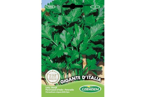 Germisem graines Persil Géant d'Italie