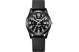 LN LENQIN Herren Analog Uhren 30M Wasserdicht Krankenschwester Uhren mit Nylon Bands für Männer Licht einfache Feld Uhren mit Datum Leichter Leser