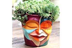 ‎GUGUGO GUGUGO Blumentopf Übertöpfe Pflanztopf - Graffiti Gesicht Pflanzgefäße, Blumentöpfe mit Entwässerungsloch, Übertopf für Innen, Einzigartige Sukkulenten Pflanzgefäß für Home Decorations (ø 14 cm)