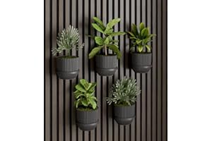 Vleugel Pannello Acustico, 2 Piccoli Anelli + 2 Piccoli Vasi