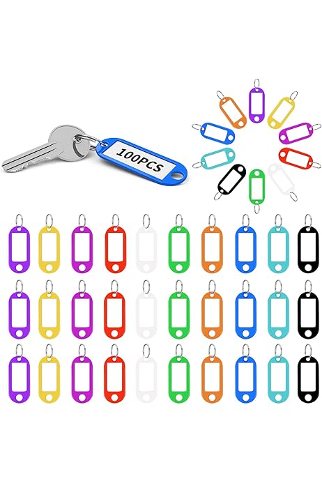 100x Etichette Portachiavi In Plastica - 10 ColorI - Con Anello Metallico - Per Chiavi, Valigie E Animali - Foto 3