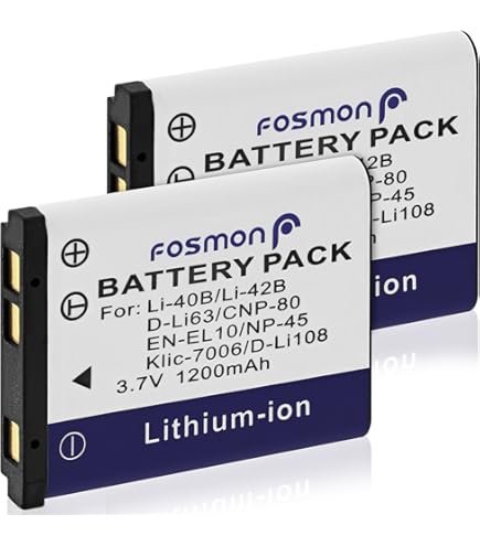 Batterie Appareil Photo Otech Pour Ricoh Lb-050