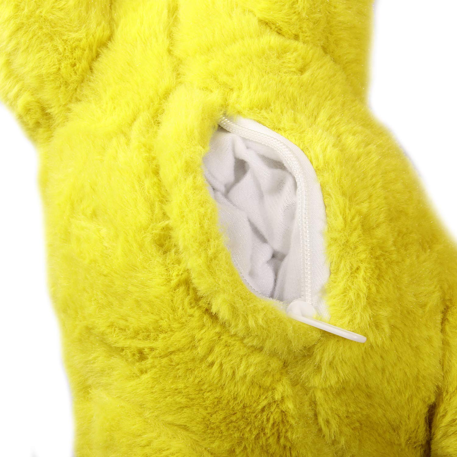 All For Paws AFP Little Buddy Dogs.co.uk