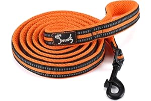 KAKA MALL PETTOM Guinzaglio Cane Riflettente Resistente Dog Leash Taglia Grande Medio Piccolo con Manico Imbottita Antiscivolo Nylon Arancione (L: 200CM)