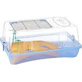 Arquivet Kleo Turtle Island with Palm Trees for Turtles - Plastic Turtle Holder for Home and Garden - Turtles for Adults and