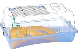 ARQUIVET Bac à tortue "Kleo" - île aquatéraire avec des palmiers de tortue - Torle en plastique - 57 x 33 x 25 cm