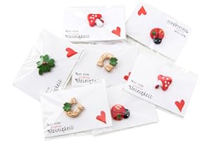 Logbuch-Verlag 10 kleine Geschenke Glücksbringer Hufeisen Marienkäfer Hufeisen Kinder Mitarbeiter Arbeitskollege Abschied Gäste