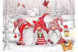 QENSPE 5D Diamond Painting Kit per Adulti, Pittura Diamante Natale Gnomi Diamond Painting Kit Completo per Principianti e Bambini, DIY Decorazione per Casa e Pareti 30x40 cm