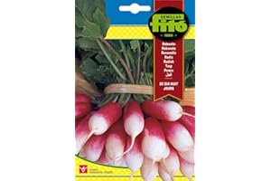 Semillas Fitó 3092 - Semillas de Rabanito De Dix