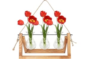KissDate Plant Propagation Stations with Wooden Stand, Desktop Hanging Plant Terrarium with 3 Glass Vase Bulb Vase and Metal Swivel Holder for Hydroponics Plants Home Garden