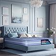 duroflex Back Magic - Doctor Recommended |5 Zone Dual Density Orthopedic Support Layer |6 Inch Queen Size | High Density Coir Mattress for Firm Back Support, (78X60X6 Inch, Blue)