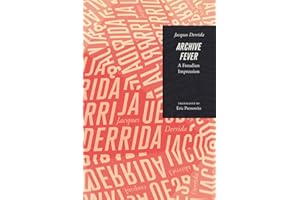 Archive Fever: A Freudian Impression