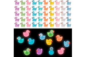 Bestomrogh Mini Enten 100 Stück,Harz Mini Enten Leuchtend Wichtel Zubehör,Mini Enten Figuren Miniatur Enten für Aquarium Puppenhaus Miniaturgarten Handwerk Topfdekorationen DIY (10 Farben)