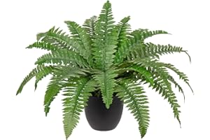 Hollyone 19.7'' Artificial Boston Fern Potted Plant, Fake Fern Bushes in Pot for Indoors & Outdoors, Faux Boston Ferns for Home Decor, Garden, Patio, Balcony, Entrance, Office, Living Room Decorations