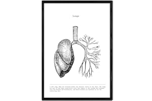 Nacnic Anatomie Poster. Vintage Stil Wanddekoration Abbildung von Lunge, Muskeln und Knochen. Verschiedene menschliche Körper, Biologie und Medizin Bilder ohne Rahmen. Größe A3.