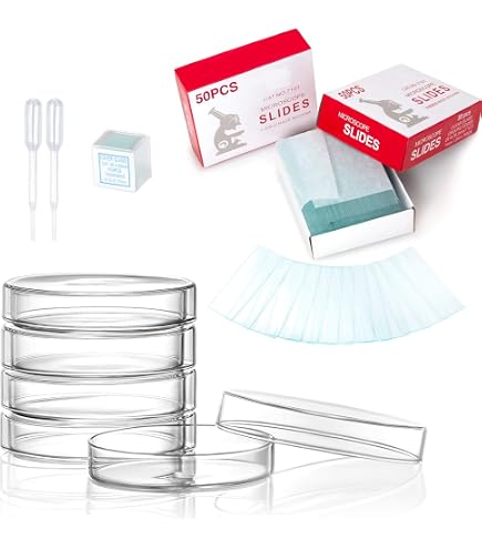10pk Frog Blood Smear, Prepared Microscope Slides - 75 x 25mm - Classroom Pack, 10 Slides in Storage Case - Biology & Microscopy - Eisco Labs 10pk Frog Blood Smear, Prepared Microscope Slides - 75 x 25mm - Classroom Pack, 10 Slides in Storage Case - Biology & Microscopy - Eisco Labs