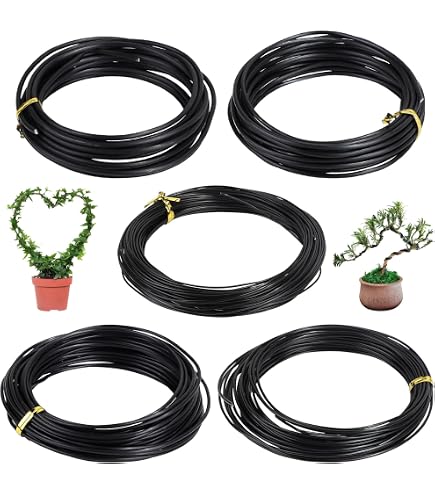 Fil De Bonsai En Aluminium Anodisé - 5 Rouleaux De 1,0mm à 3,0mm Pour Sculpture D'Arbres (Noir)