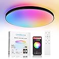 CANMEIJIA Dimmable RGB Ceiling Light,24W 1920LM IP44 Waterproof Bathroom Lights Ceiling with Remote Control,Black Smart Party Flush Ceiling Light for Living Room(3000k~6500k)
