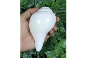 ASHIRWAD CraftsLook Vamavarti Dattatreya – Muschelschalen – Puja Ritual – Plain Pooja Shankh – Shankhnaad 5"inch