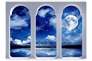 murando - Papier peint panoramique paysage 150x105 cm - Revêtement mural décoration pour chambre salon - Design unique et moderne - Bleu blanc - Nuages espace ciel nuit paysage c-A-0044-a-b