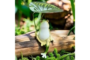 ‎MURISE Murise Dekoracyjne figurki żaby, żaba do mini staw, statuetka żaby z żywicy do ogródka, tarasowego stawu, wanien cynkowych, fontanny solarnej, ogrodu, na balkon