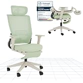 FLEXISPOT Ergonomic Office Chair, Folding Office Chair with Lumbar Support, Height-Adjustable Armrest, 2D Headrest, Mesh Desk