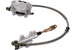 WOOSTAR Rear Foot Disc Brake Master Cylinder Assembly Replacement for Chinese 150cc 200cc 250cc TaoTao Buyang Coolster Kazuma Sunl ATV Quad