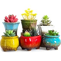 Set Da 6 Vasi In Ceramica Per Piante Grasse Con Sottovaso Attaccato – 10x9 Cm Con Foro Di Drenaggio, Colorati Smaltati