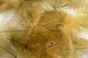 HARELINE DUBBIN Pechetruite 1g - Plumes de CDC (Cul de Canard) Brun Olive - pour Montage de Mouche de Peche