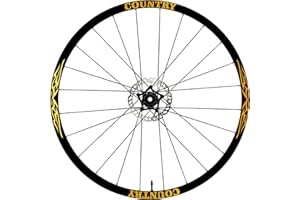 DualColorStampe Adesivi Cerchi Bici 26'' - 27,5'' - 28-29'' Pollici Ruota Bici MTB Bike Stickers Cerchi MTB B0056 (28-29'' Pollici, Oro)
