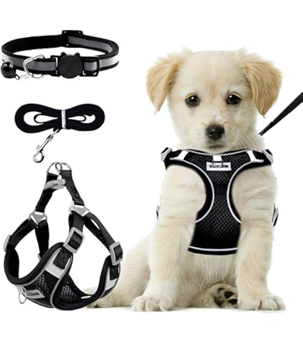 Hondensokken, verstelbare en waterdichte klittenbandpantoffels met antislip pootbescherming, voor kleine en middelgrote honden binnen en buiten, zwart, M (4 stuks