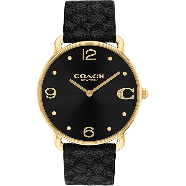 Coach Watch for Women-NECO14503354W : Amazon.in: Fashion