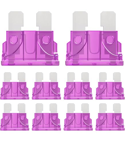 Set 10 Fusibili Per Auto, Moto, Camion – 5A 8A 16A 25A – Senza Marca