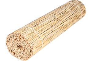 H4L Schilfmatte Sichtschutzmatte Schilfrohrmatte Natur Sichtschutz Windschutz Schilf 300x50cm