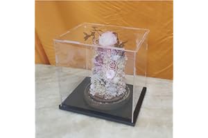 CEET Caja de exhibición Transparente de acrílico, Vitrina Multifuncional de exhibición de Colecciones a Prueba de Polvo, con Base Engrosada, para muñecas de Acción de Juguetes (4x4x6inch/10x10x15cm)