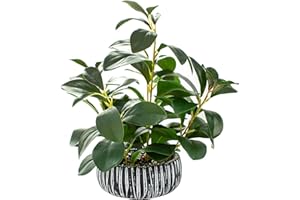 AlphaAcc Artificial Succulents Plants Decor Greenery Fake Succulents Indoor Potted Fake Plant with Rustic Black Clay Planter for Farmhouse Room Bathroom Bedroom Kitchen Office Dese Coffee Table Decor