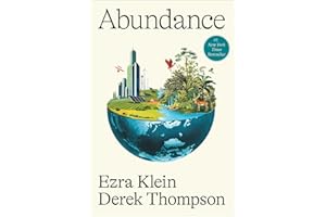 Abundance: What Progress Takes
