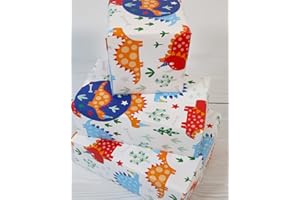 Abacus Cards 08816A "Dinosaur Roar" Gift Wrap Pack with 2 Sheets & 2 Tags - Plastic Free & Fully Recyclable