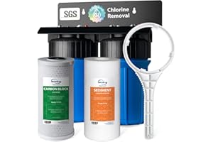 iSpring WGB21B Filtro de Agua de 2 Etapas, Filtro Agua Entrada General con Filtro CTO (Cloro, Sabor y Olor) y Sedimentos de 10"x 4.5", Entrada/Salida de 1"