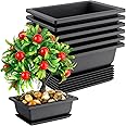 Bonsai Pot 6.5 Inches, 6 Packs Rectangle Bonzai Training Pots with Drainage Trays, Plastic Flower Pot Humidity Trays, Square Potted Planter Pot for Living Room, Office, Yard, Garden, Indoor, Balcony