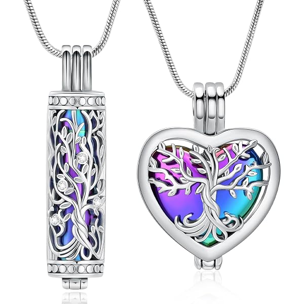 AueDsa Collana Acciaio Inossidabile Urna Ceneri Uomo Donna Croce Collana Ciondolo Ceneri e Nero Argento