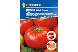 KIEPENKERL Tomate (Fleischtomate) Pyros F1, angenehm fruchtiges Aroma, schnittfeste F1 Hybride tolerant gegen Kraut- und Braunfäule, auch für Freiland geeignet