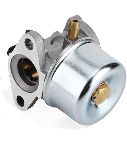 Kit Révision Carburateur Carkio - Compatible Briggs & Stratton 3,5-4 HP + Filtre à Air