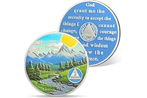 AtSKnSK Pièce de monnaie de sobriété de 2 mois 1 à 3 ans 1 à 3 mois soleil montagne rivière arbre récupération AA HA NA chips médaillons sobriété token anonyme alcoolique cadeaux pour hommes et femmes