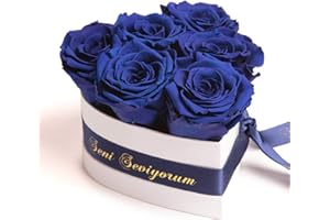 ROSEMARIE SCHULZ Heidelberg Herz Box Infinity konservierte Rosen in Dose Geschenk für Frauen (Seni Seviyorum, Blau)