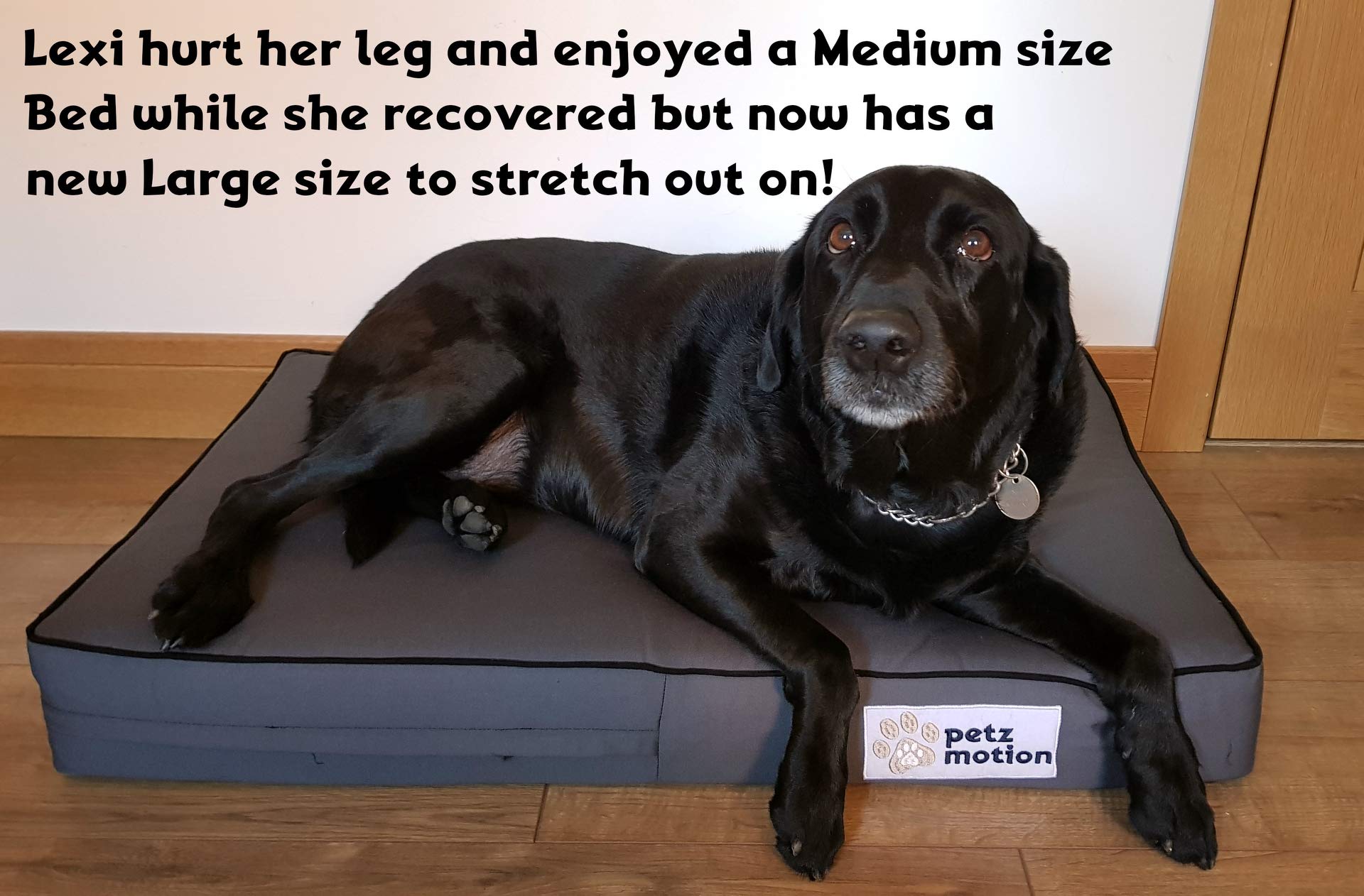 Petzmotion Premium Orthopaedic Memory Foam Dog Bed Mattress, Waterproof