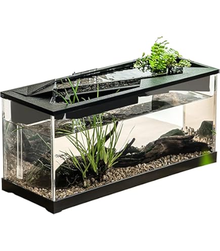 Kleines Desktop Aquarium - Betta Fischbecken Für Zuhause