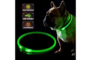 YAMOOCO KABB Collier de Chien à LED, Bande de clignotage Rechargeable USB pour la sécurité la Nuit, réglable, imperméable, Collier Lumineux Lumineux pour Chiens - Une Taille d'une Taille Allen, Verte